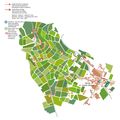 Après être passée par google map, fait mille captures écrans, j'ai fait parcelle par parcelle des vignes de Fleurie, depuis le village.