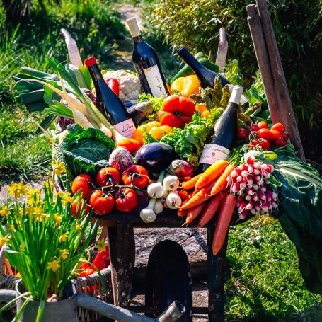 Brouette pleine de légumes colorés, avec des bouteilles de vin posées ça et là, ambiance champêtre et jardin.